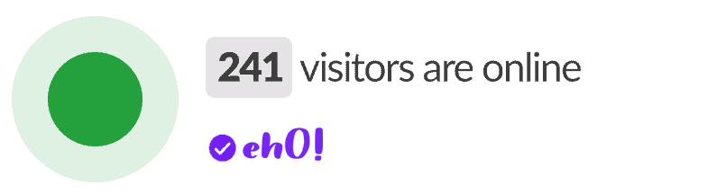 VISITEURS EN DIRECT